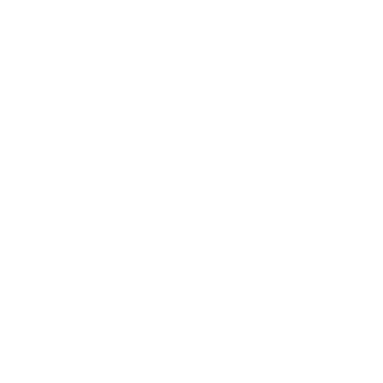 Snow Arena